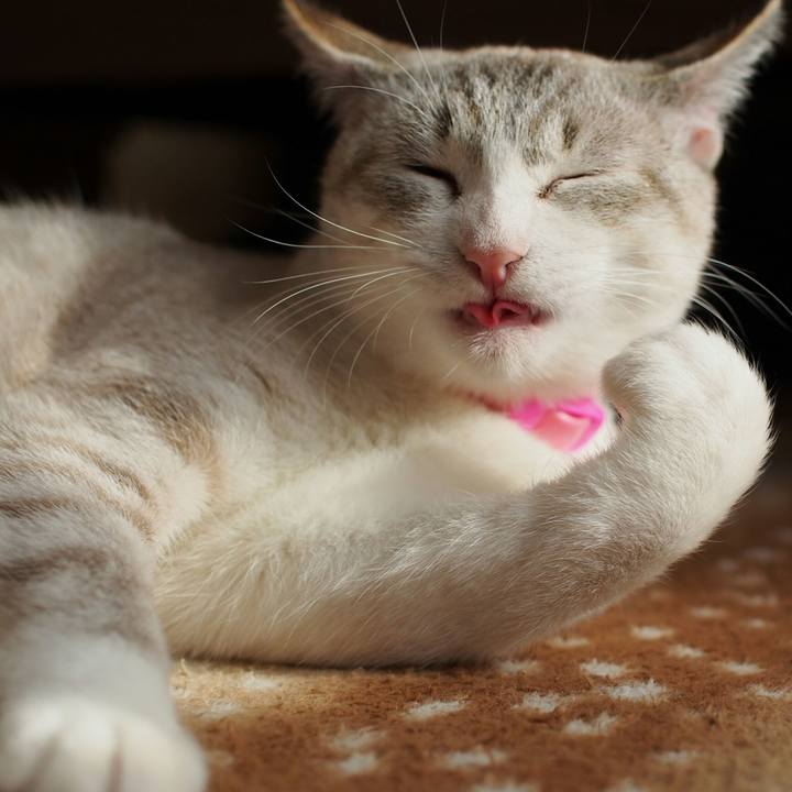 7ee23158 4376 4d9f a591 b4ac417d3184