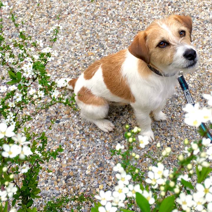 7ee2730f db98 4f3e 81f7 49358328f3bb