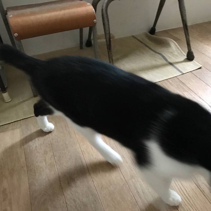 7ee31d36 70ca 456c bff1 735458fd153e