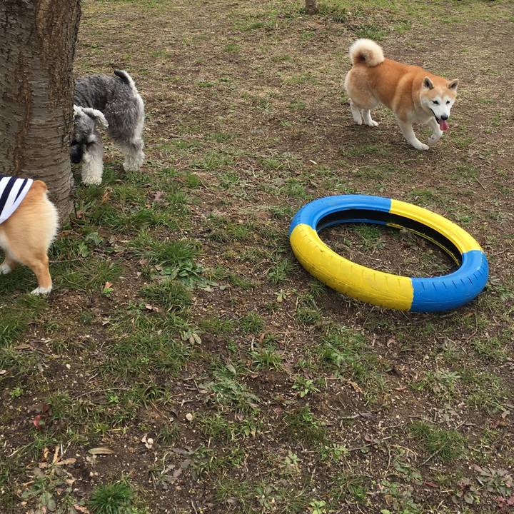 7ee38d4c 5a66 48ef 9ac4 694d3da621b4