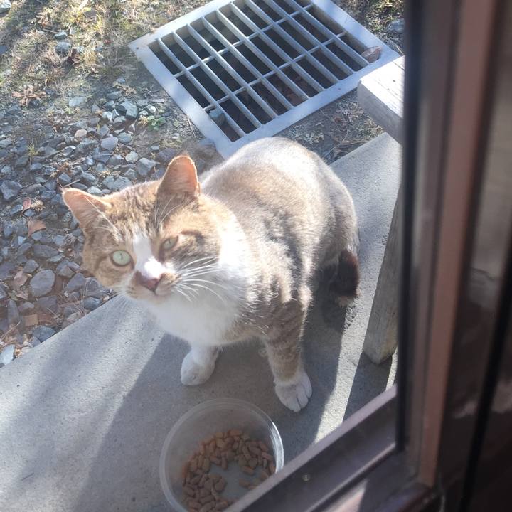 7ee398de c0c4 4d62 9785 b3c0d9602283