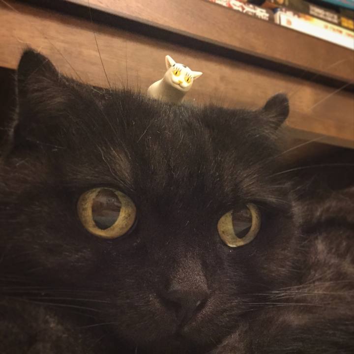 7ee3cc0a d460 4057 a42e 8ef4164ae9e6