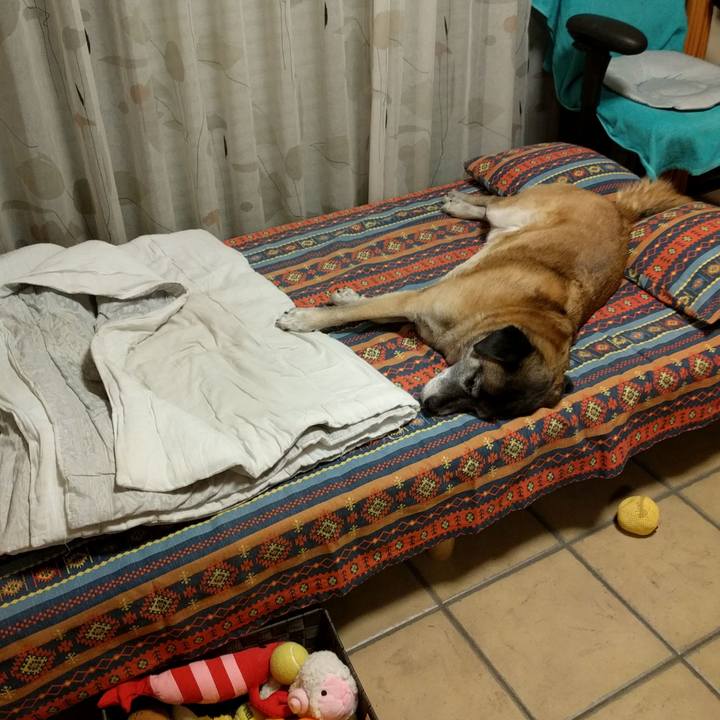 7ee4213f 9d8f 4814 bf3b 4c21e10e949d