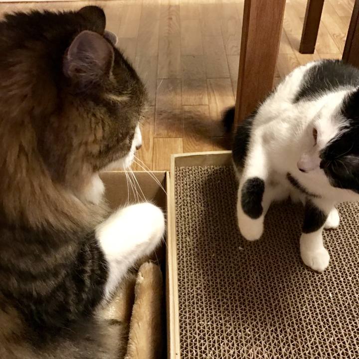 7ee4b181 7458 4691 b27b a095028099b3