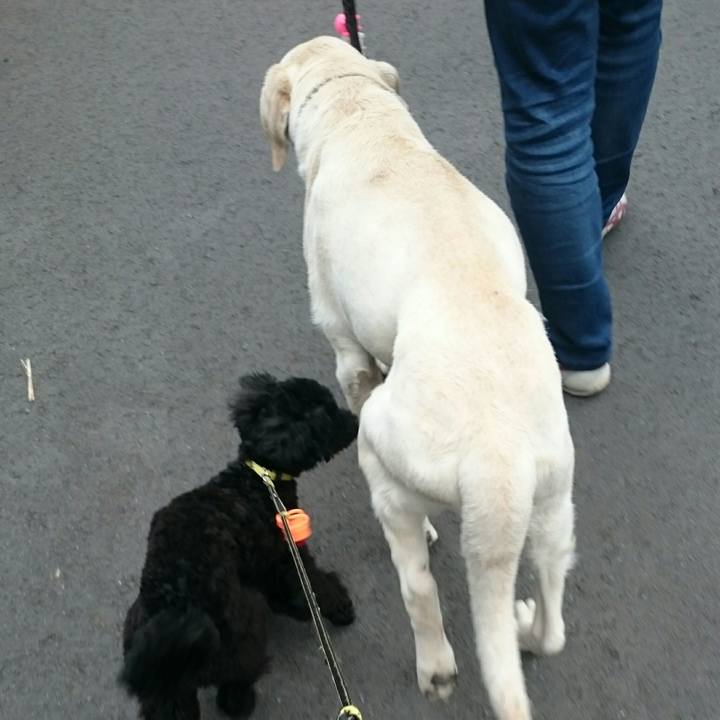 7ee4bd86 2241 4490 ab7a aee20bc3a2a1