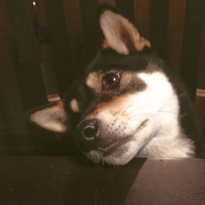 7ee4d11d c823 446e a670 358df57f8bae