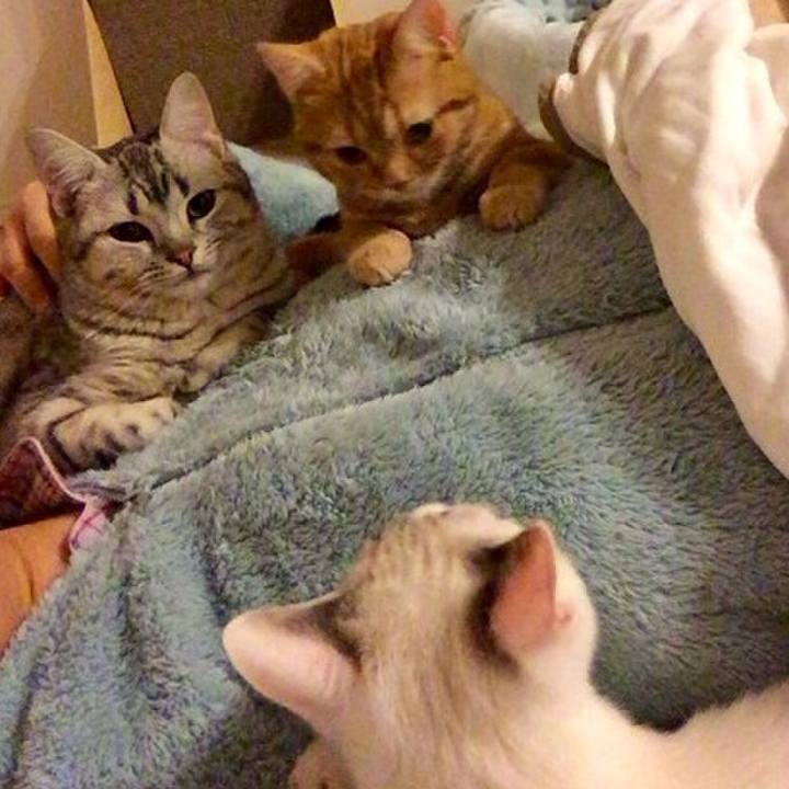 7ee516f6 ba45 44d3 9508 b905e6edac3f