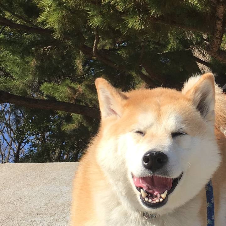 7ee56383 e1ef 4d3d 8a8b 29b86a1cb4e0