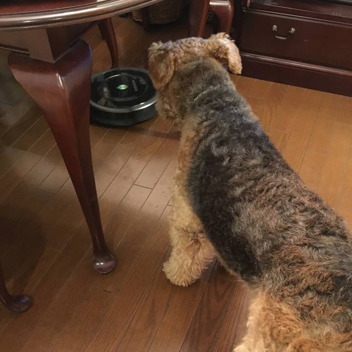 7ee5b34e b87c 4ff2 aa6b 1520b2dd0047