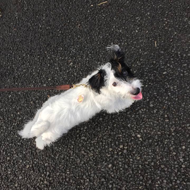 7ee5f0ff 0239 41d1 a88c a25831a1457c