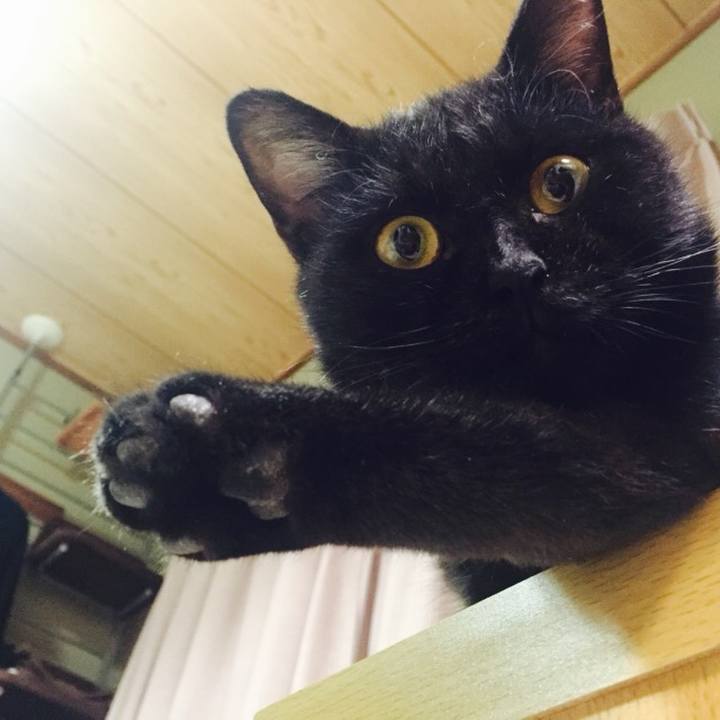 7ee66926 f0de 4863 aeaf 9464233f91af