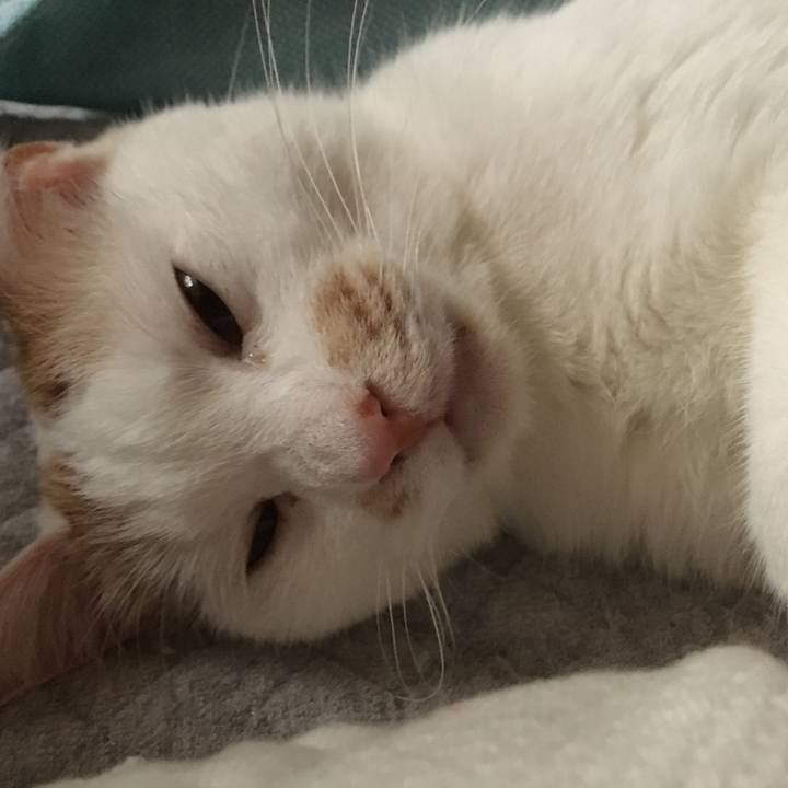 7ee68f5c cbe5 4cf4 be6e c29becb7a314