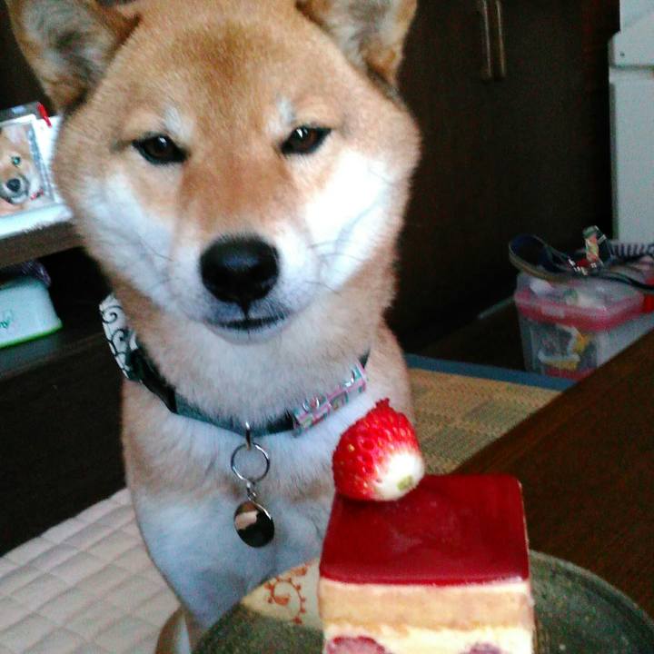 7ee6a860 a499 4246 8f08 3c253bbeda63