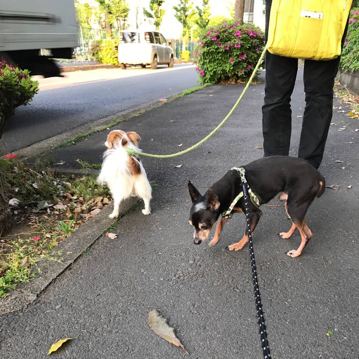 7ee76dbe 0fc9 48ca b05e 42aaf8e29b6a