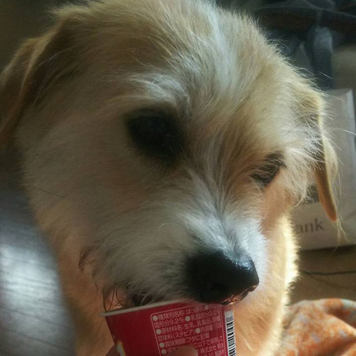 7ee7998d 4a25 45ac afdb 6f4faf3497c2