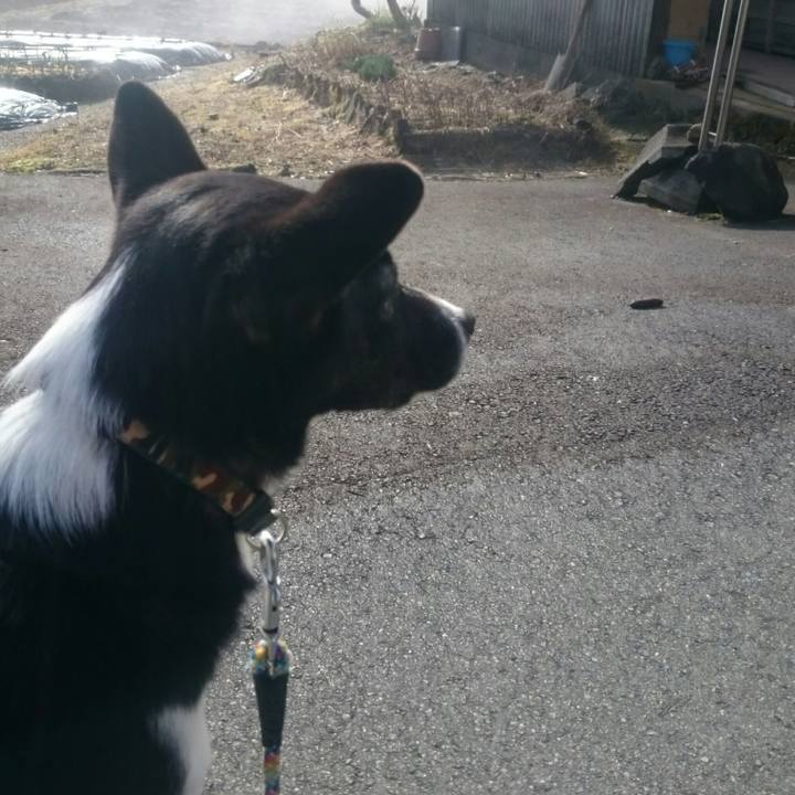 7ee7b88f e90e 4e08 aa84 2a32cc4dd918