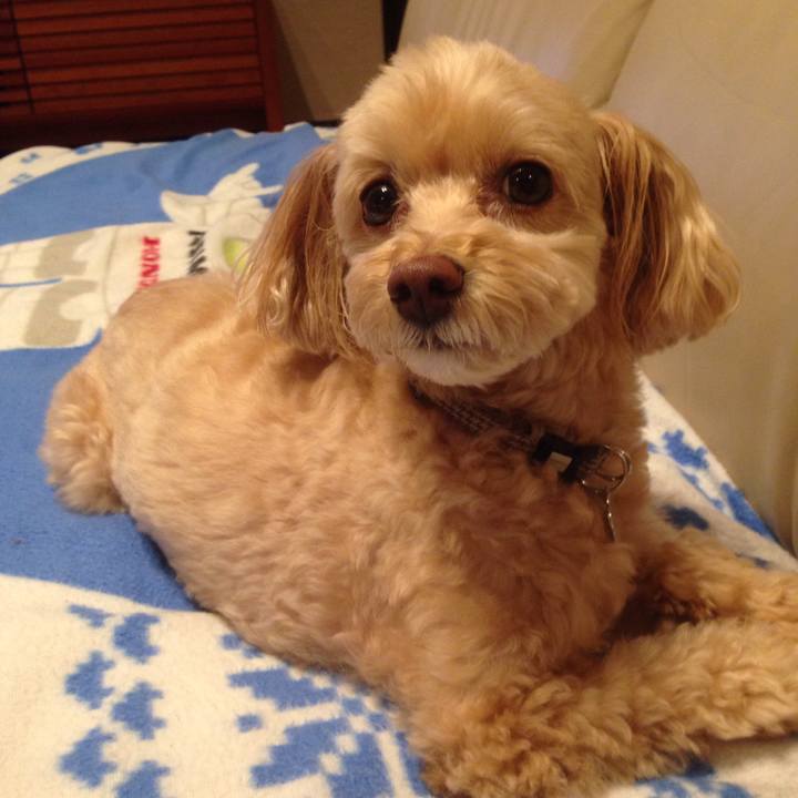 7ee7db1e 8a78 4864 b870 f7b0c6baeb93