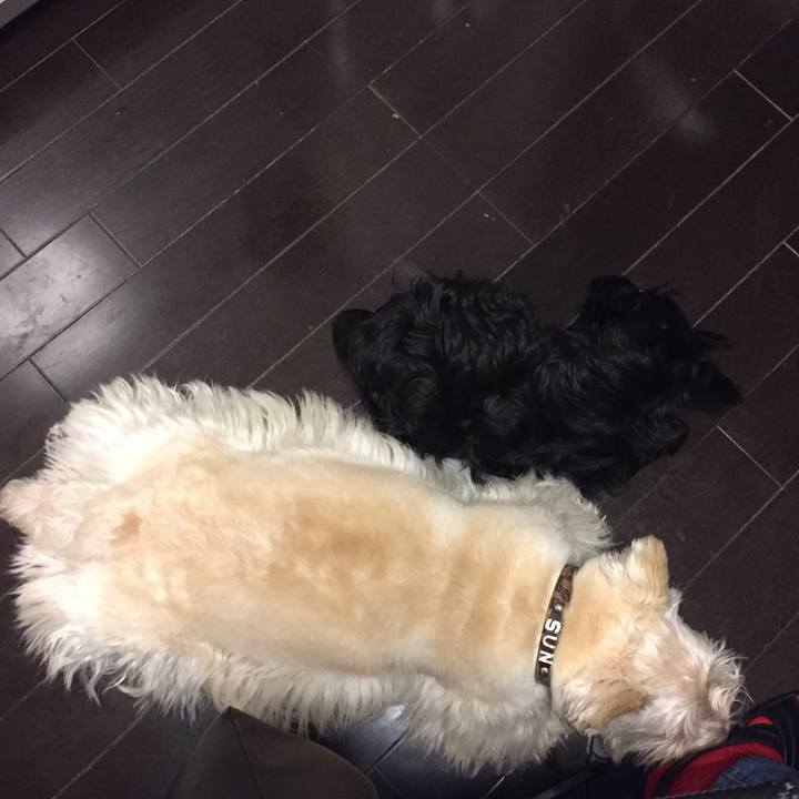 7ee849e8 c5f9 41a7 96db c6363a8ef82d