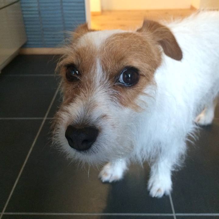 7ee93282 a58a 4ef0 95bb 160607d49675