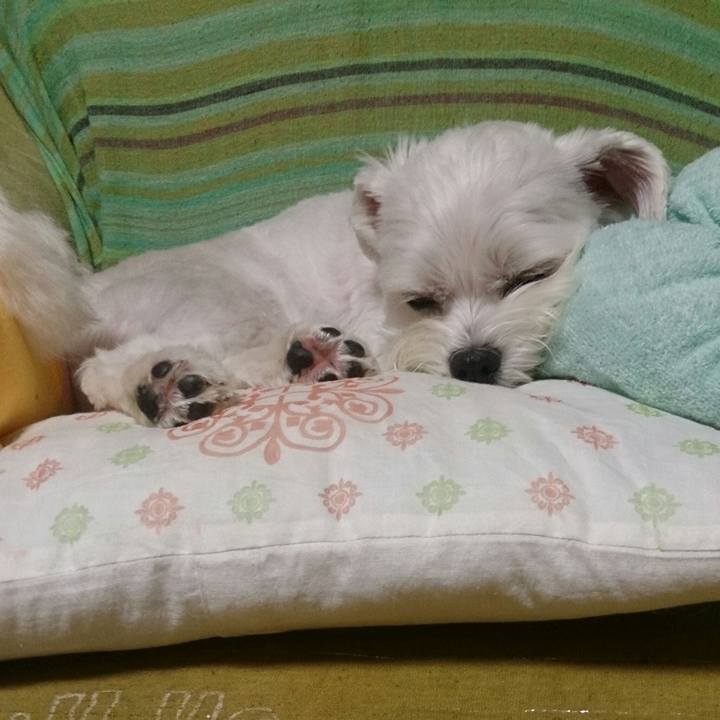 7ee96037 7266 4ad1 b658 b19a42bf3626