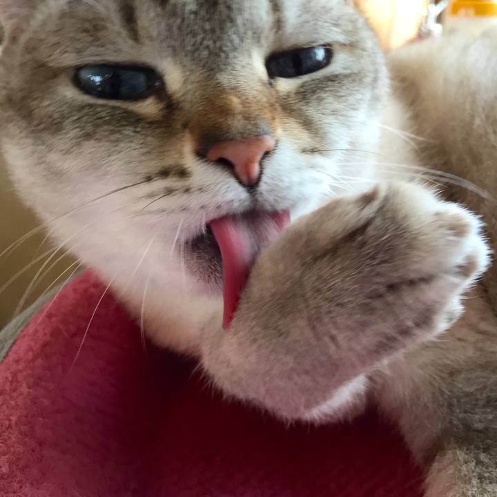 7ee9c590 24aa 4ca8 8455 0b667265e3cb