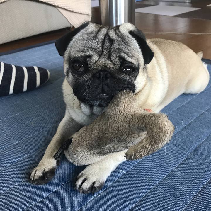 7eea2836 655c 45be 8db3 9d60ae0b8006