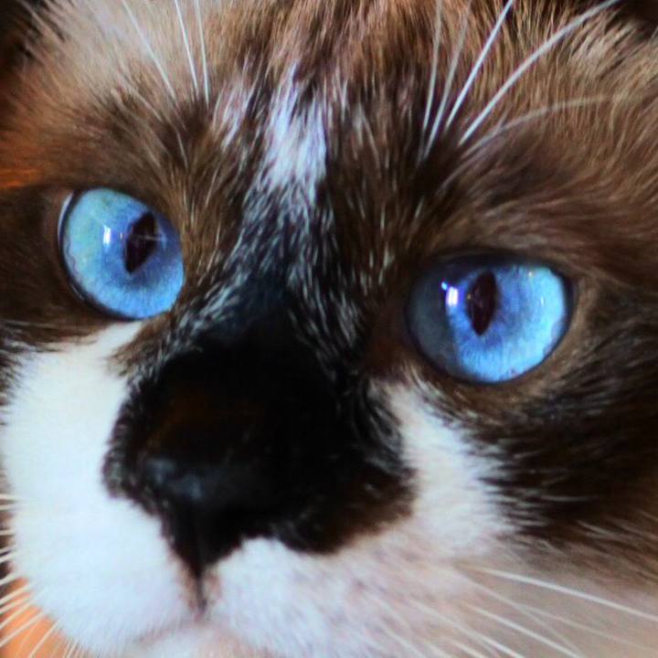 7eea9781 4d9c 48c0 8dc0 f0e7ddfe720f