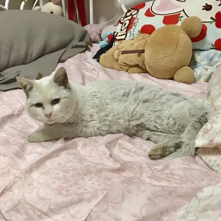 7eeaa627 dc54 4d43 b296 0acec064dce7