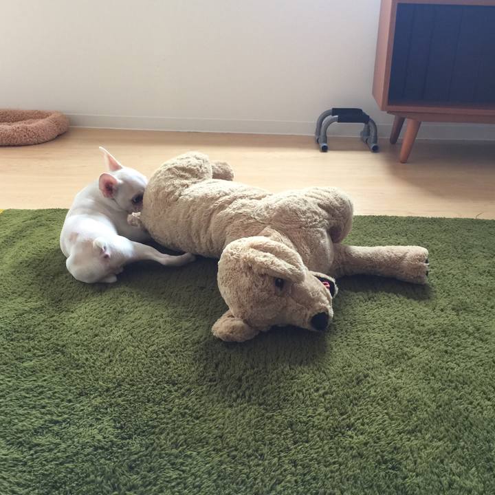 7eeaaf7f 5d60 45ca 8571 7d3a035f3efb