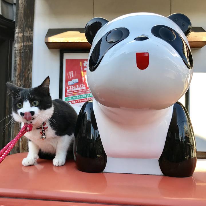 7eeb12a8 91a8 4317 94d3 4b9264df9042