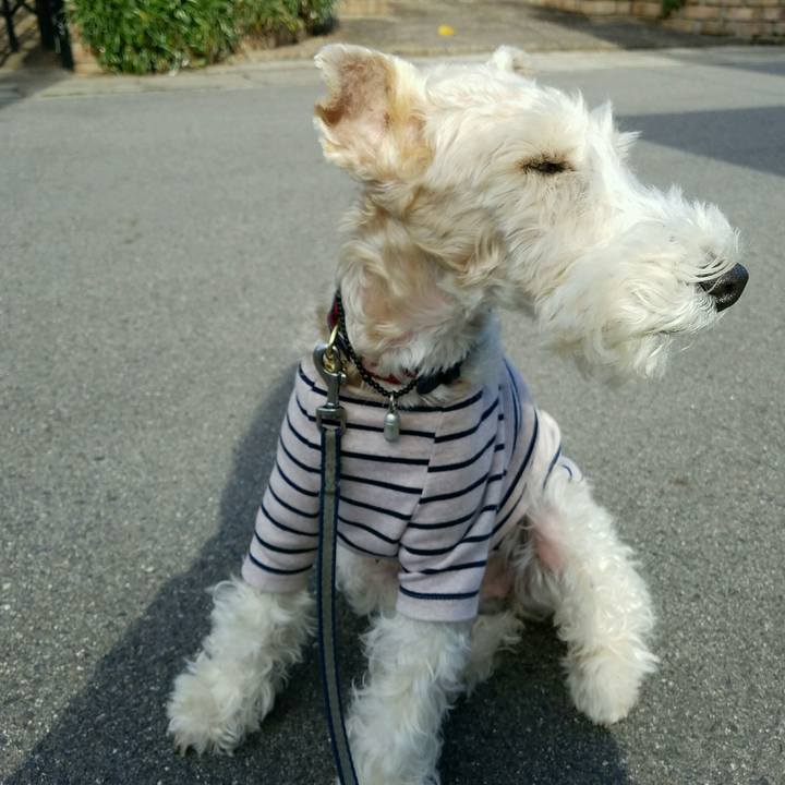 7eeb198a a4ef 4172 a1df 803f957a9491