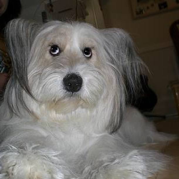 7eebbffa c05d 4ccd 8f30 c251e9a8e122