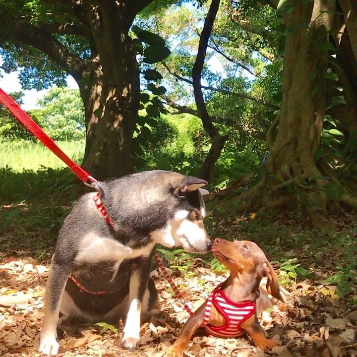 7eebeac6 33ef 4a4f 86ae 91b72ad8b043