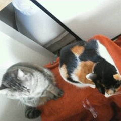 7eebeb06 589b 4a01 bf16 8f0cb71f6746