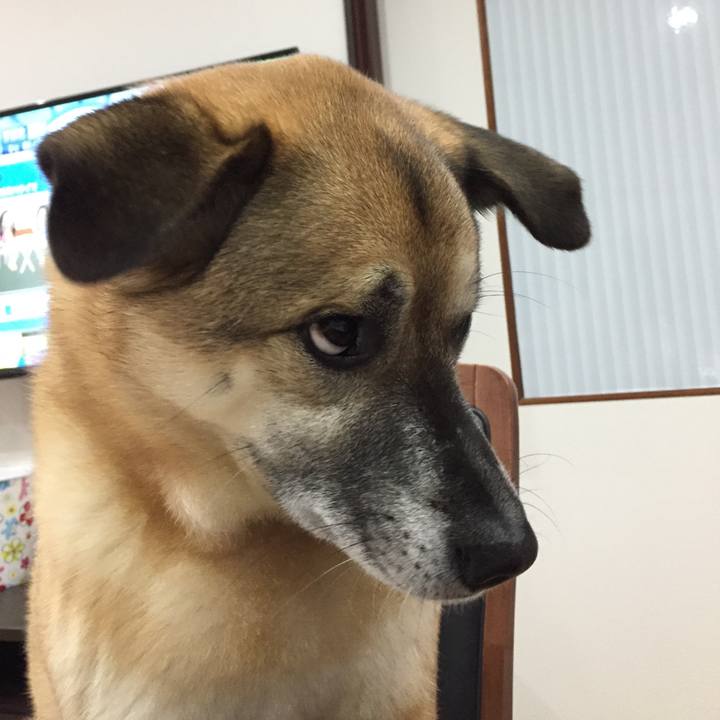 7eec5052 77d6 4621 a4d4 bbe28974105f