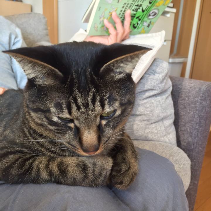 7eec6b5b 385a 472e a3d4 ccfc4a3d12bd