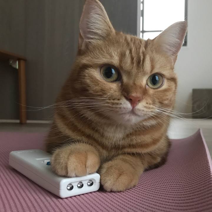 7eec706c f92c 4048 8199 ee85d06b7432