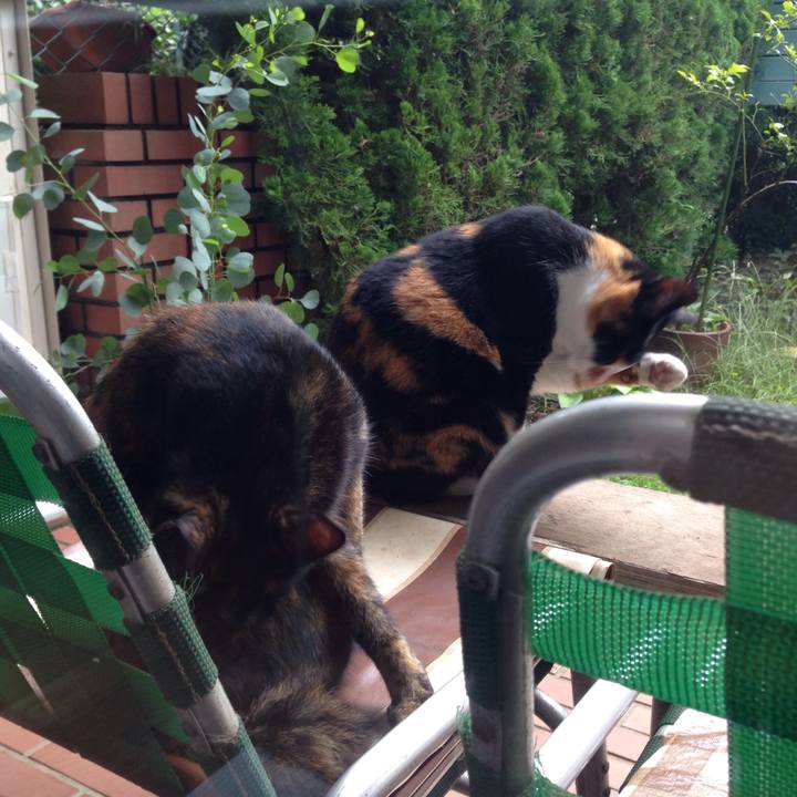 7eecb448 1d84 4183 9a6a 320ac362a614