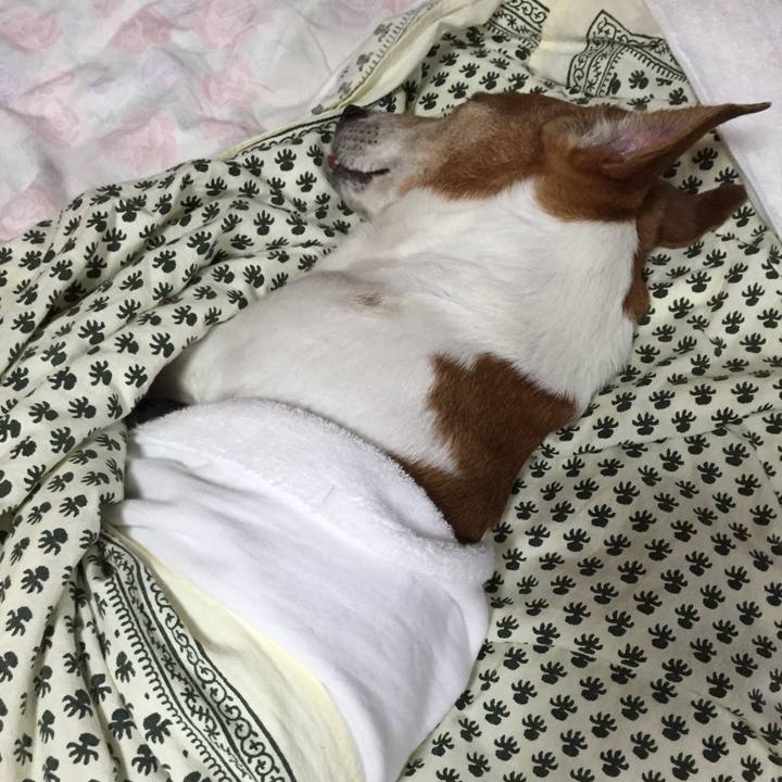 7eee0387 c01e 4cf0 b2e3 dd80e6bf6296