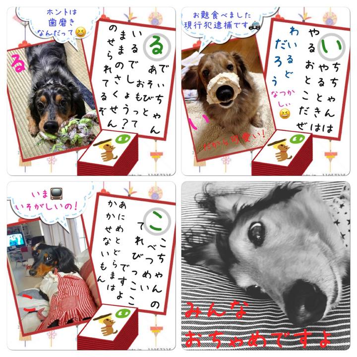 7eef8105 f828 4a8d 9763 1f21836884ab