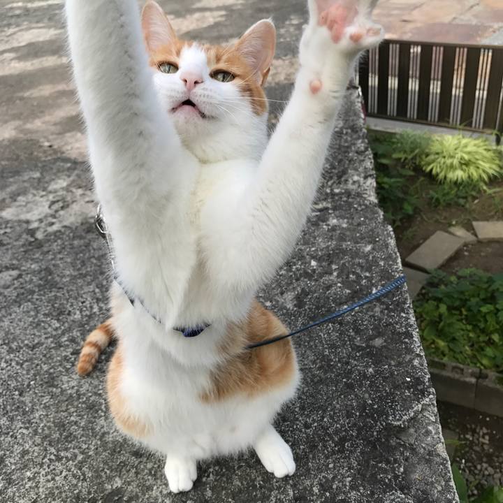 7ef031d4 6366 48a0 8cd4 a03e4b51c642