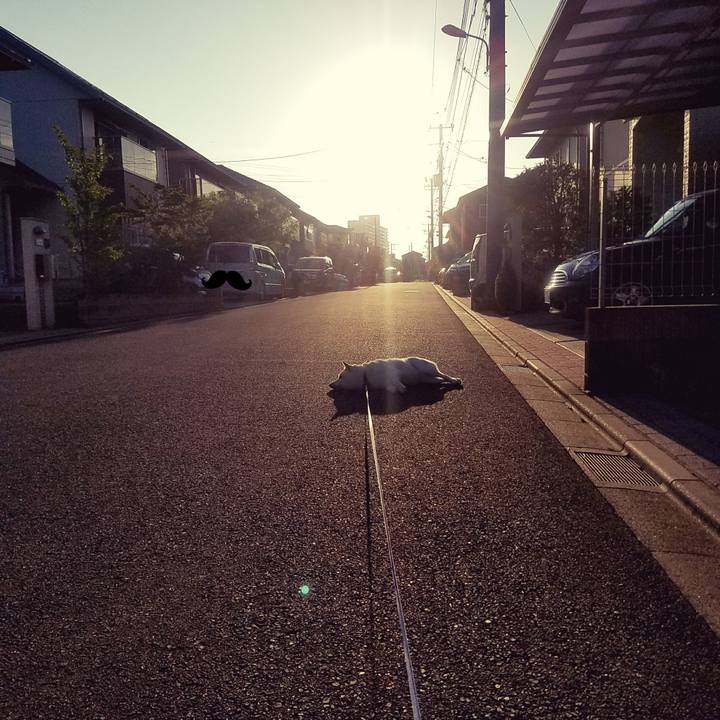 7ef03e91 39b1 4e6b a72b ec80047d6462