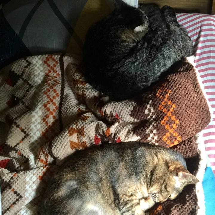 7ef05e04 c6a5 4546 ad68 4d75a4835ddc