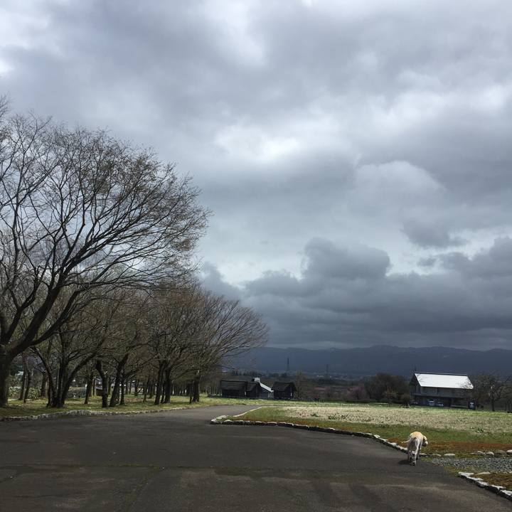 7ef10906 b87b 409f abe6 7cefeefcc62d