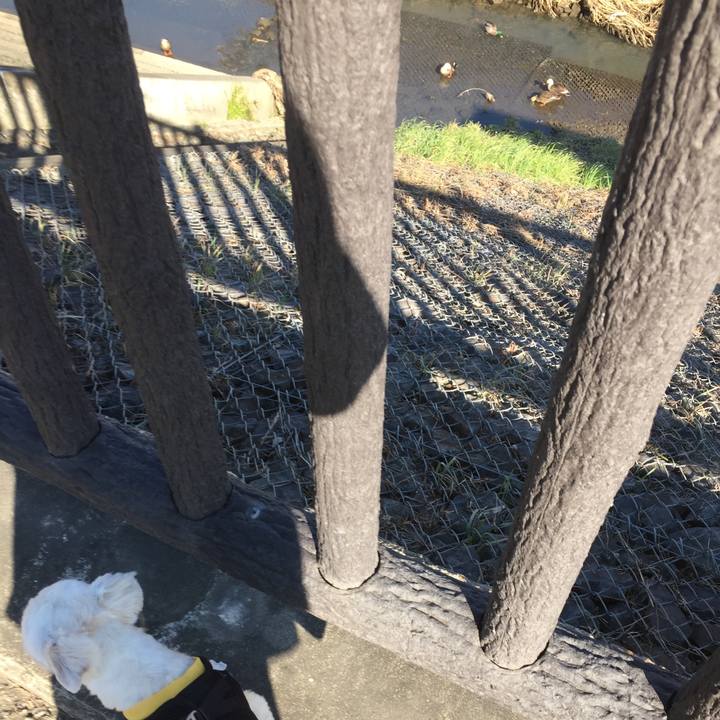 7ef1a1d9 8183 459a 8f9b b4d5c5ae379f