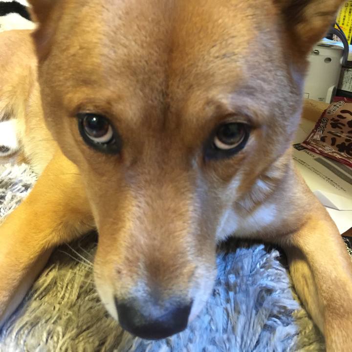 7ef1bb2b 4503 458c 97f1 5336b4d8102a