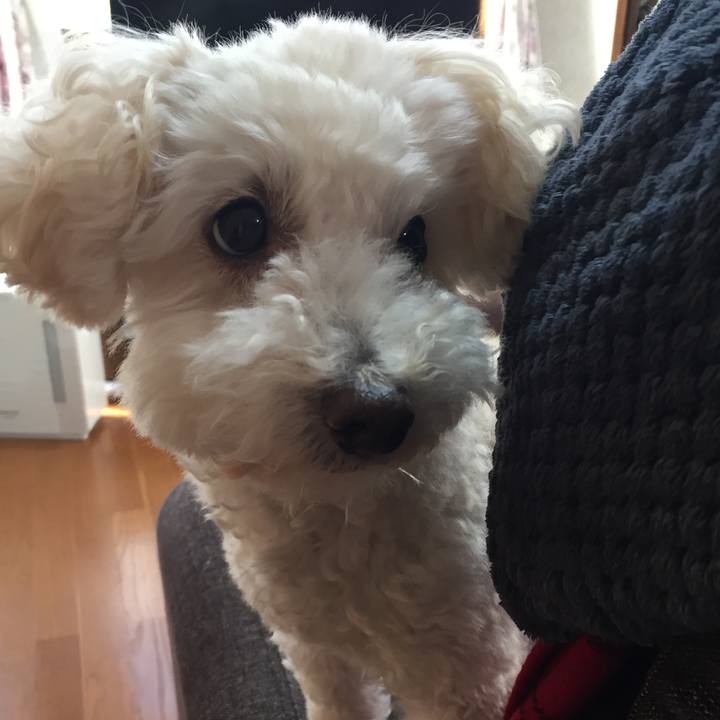 7ef20779 ec7f 41f1 8f8d faf3ef44fc6f