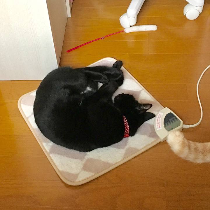 7ef22cc7 351b 4b7e acc3 fcc6f5440127