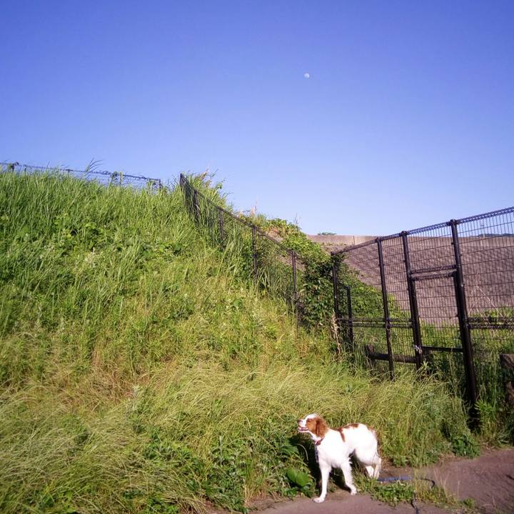 7ef22f83 1be9 4bed 951b dc0324910a54