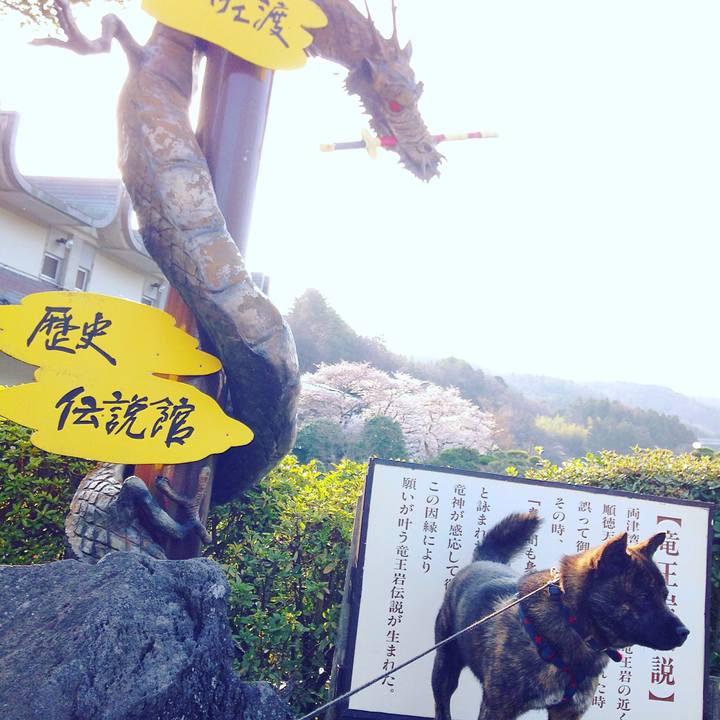 7ef2ca2e a3e0 4c6c ad84 8ec154e18e1a